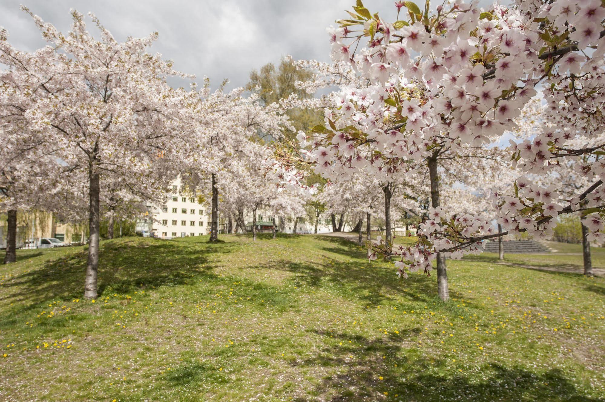 Motel L Hammarby Sjoestad Stockholm Exterior foto